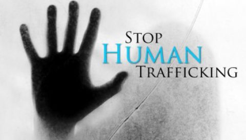 Oakville council votes to support anti-human trafficking bill