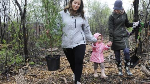 Oakville tree planting sees 750 seedlings and saplings planted at Shannon Creek Trail