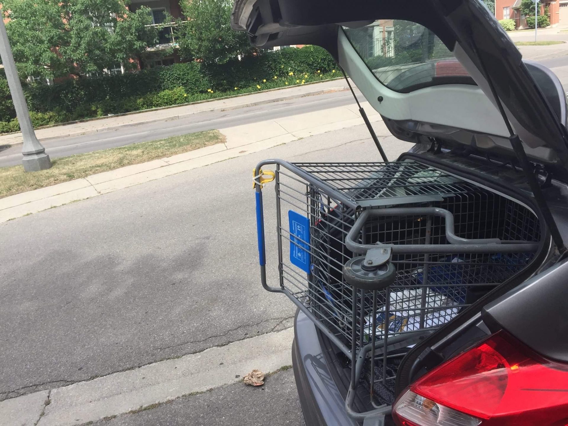 Marc Grant, shopping cart in car